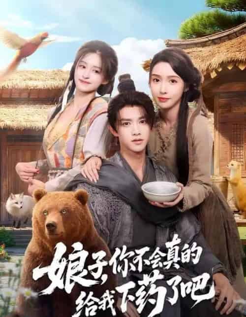 娘子，你不会真的给我下药了吧＆郎君，该喝药了（73集全）陈外＆刘金妍-紫橙网创项目网