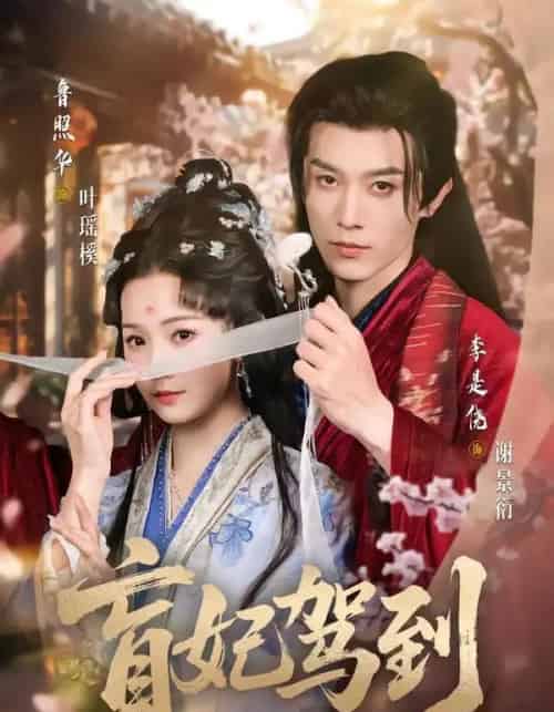 盲妃驾到(65集全)鲁照华&李是侥-紫橙网创项目网