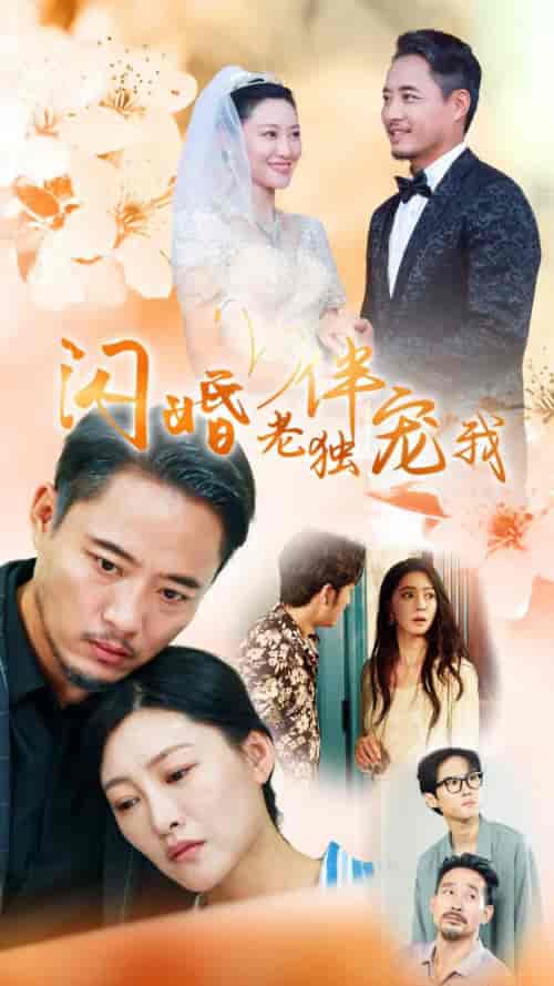 再婚伴侣老来福（70集全） - 紫橙阁短剧