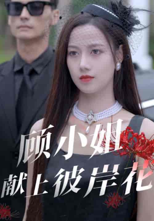 顾小姐献上彼岸花（69集全）陆凯＆顾南笙 - 紫橙阁短剧