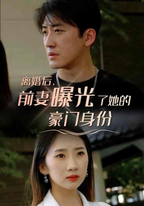 离婚后，前妻曝光了她的豪门身份（100集全）叶明辰＆楚若离 - 紫橙阁短剧