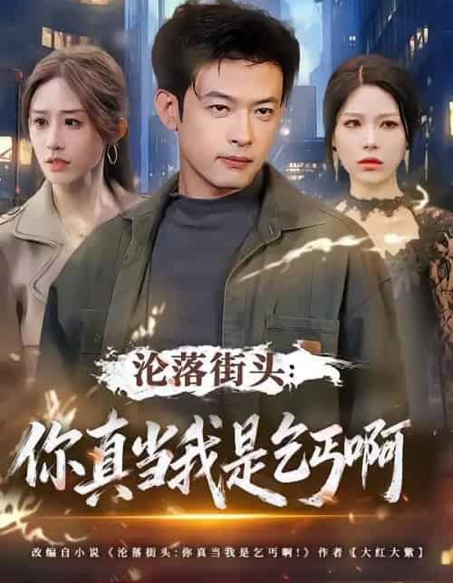 沦落街头：你真当我是乞丐啊（80集全）武鸿蕊＆马昂-紫橙网创项目网