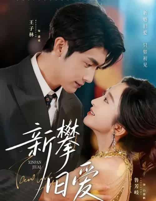 新攀旧爱（67集全）王子林＆鲁芳岐-紫橙网创项目网