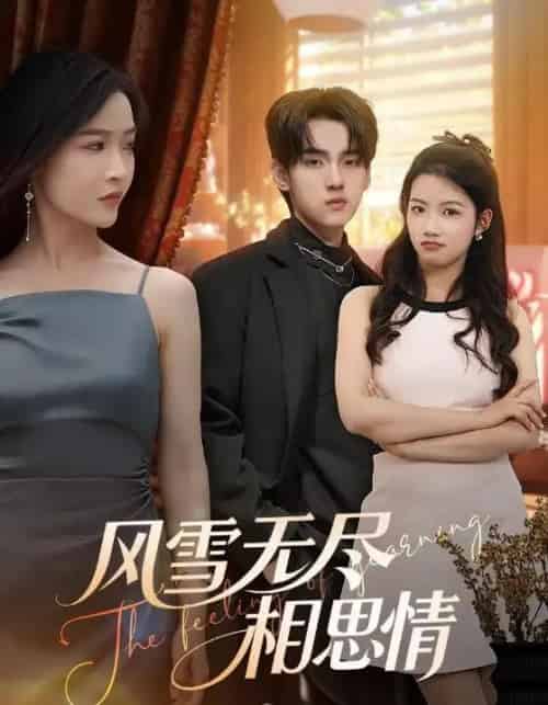 风雪无尽相思情(61集全)李珊&詹琸-紫橙网创项目网