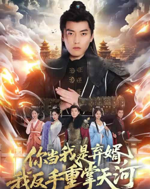 你当我是弃婿,我反手重掌天河(70集全)张邯&周子琪-紫橙网创项目网