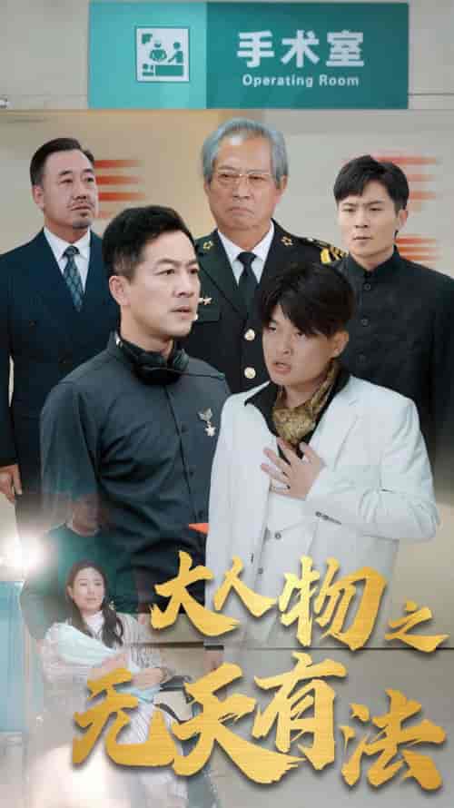 新大人物之无天有法（35集全） - 紫橙阁短剧