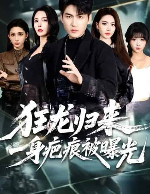 狂龙归来，一身疤痕被曝光（73集全）周朕＆李若希-紫橙网创项目网