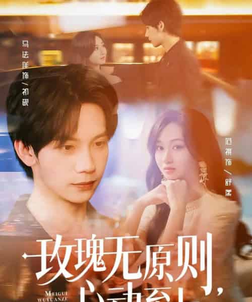 玫瑰无原则心动至上 玫瑰无原则心动至上