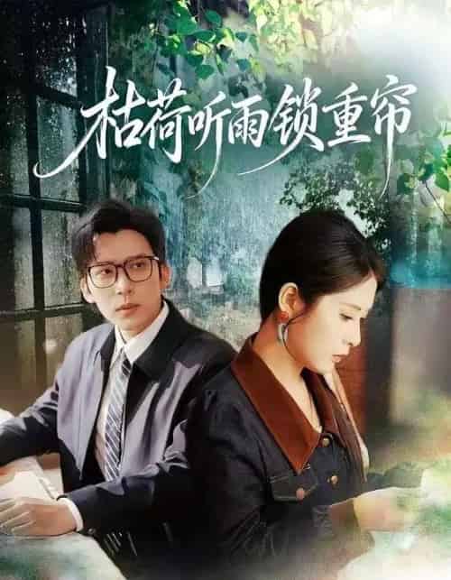 枯荷听雨锁重帘（72集全）冯思源＆陈酉昔-紫橙网创项目网