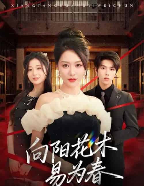 新：向阳花木易为春（72集全）钟莹玲＆向帅 - 紫橙阁短剧