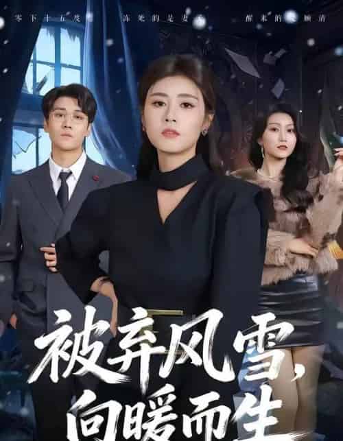 被弃风雪,向暖而生(60集全)郭嘉铭&邹洁仪-紫橙网创项目网