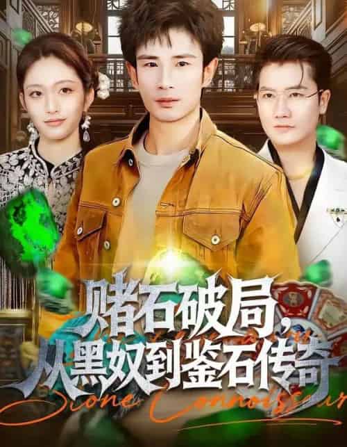 赌石破局，从黑奴到鉴石传奇（64集全）黄斯琪＆何俊雄-紫橙网创项目网