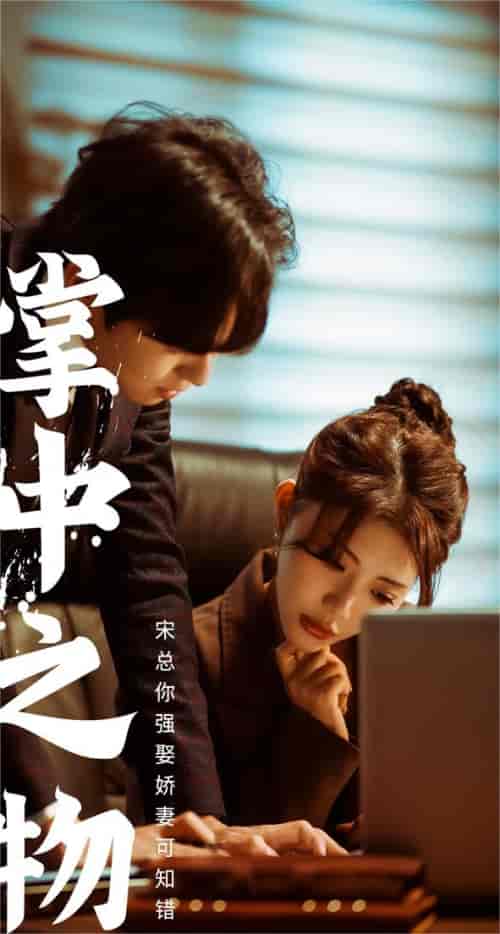 掌中之物：宋总娶娇妻可知错（97集） - 紫橙阁短剧
