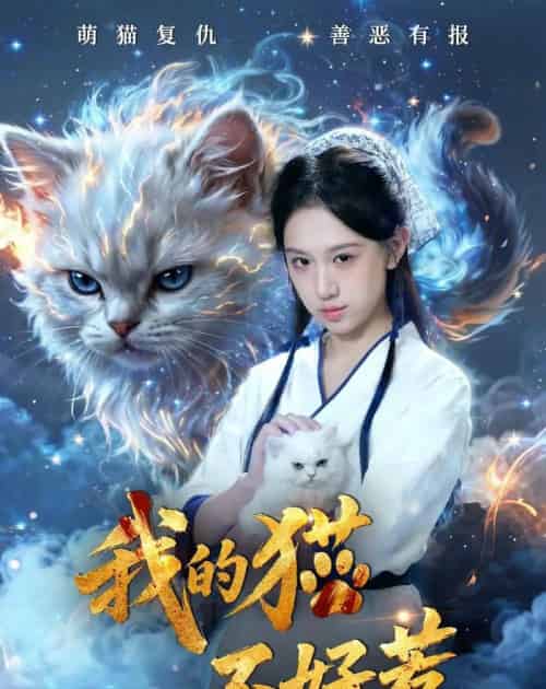 我的猫不好惹(42集全)江来&陈鸿运-紫橙网创项目网