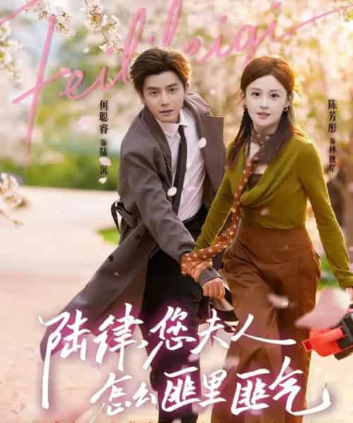 陆律，您夫人怎么匪里匪气（60集全）何聪睿＆陈芳彤-紫橙网创项目网