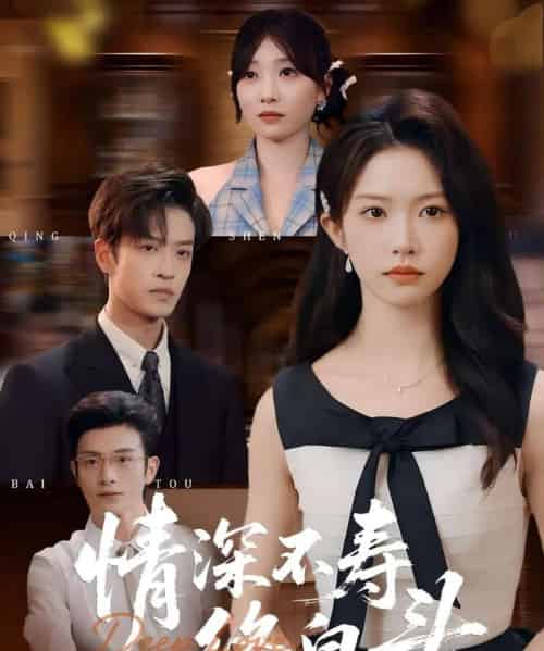 情深不寿终白头(90集全)吴毅非&孙梓铖-紫橙网创项目网