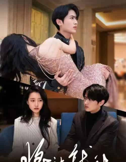 将计就计（78集全）孙嘉俊＆金凌子-紫橙网创项目网