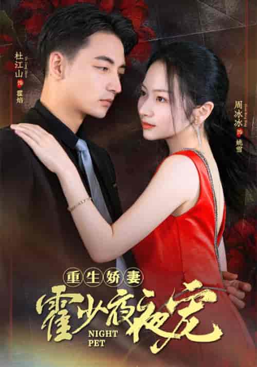 重生娇妻霍少夜夜宠（82集）霍焰＆姚雪 - 紫橙阁短剧