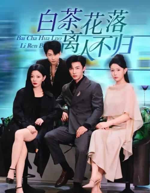 白茶花落离人不归(51集全)沈国洋&林初-紫橙网创项目网