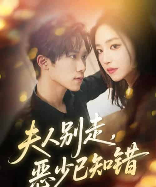 夫人别走恶少已知错(60集全)尹洋&夏玄子-紫橙网创项目网
