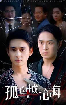 孤鸟越沧海  孤鸟越沧海