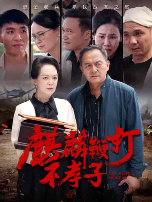 麒麟鞭打不孝子（78集全）陈建国＆赵红霞 - 紫橙阁短剧