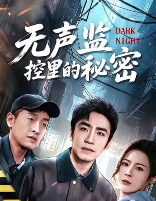 无声监控里的秘密(84集全)蔡明哲&杨乃晴-紫橙网创项目网