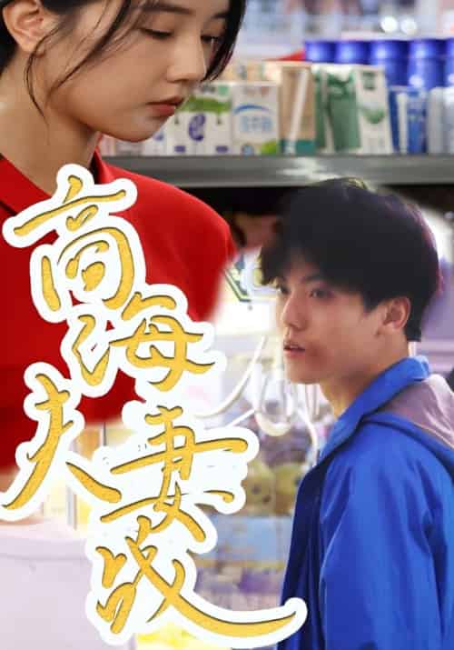 商海夫妻战 商海夫妻战