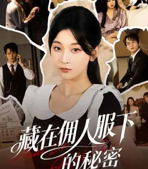 藏在佣人服下的秘密（68集全）李珈童＆汤淇钧-紫橙网创项目网