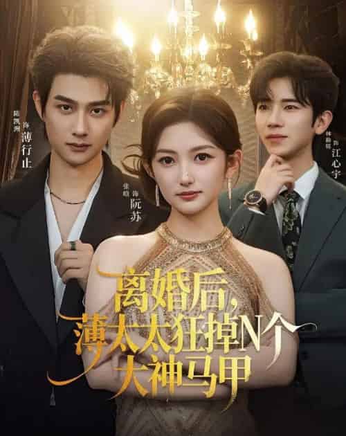 离婚后,薄太太狂掉N个大神马甲(60集全)张晗&陈凯洲-紫橙网创项目网