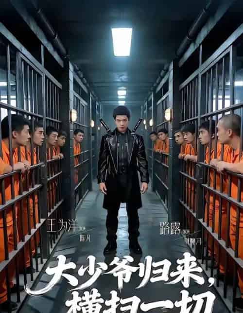大少爷归来横扫一切(80集全)路露&王为洋-紫橙网创项目网