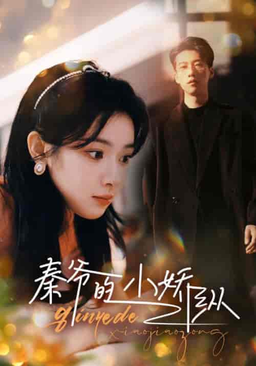 秦爷的小娇纵（96集） - 紫橙阁短剧