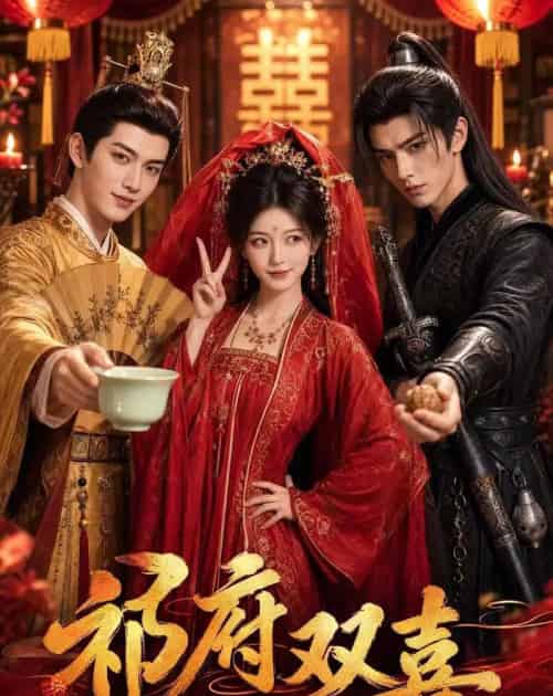 祁府双喜(31集全)AI-紫橙网创项目网