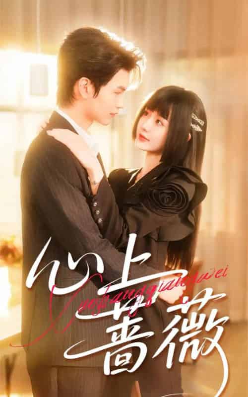 心上蔷薇(100集全)张嘉松&刘安歌-紫橙网创项目网