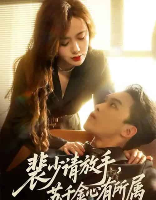 裴少请放手，苏千金心有所属（77集全）高张博＆张新涵-紫橙网创项目网