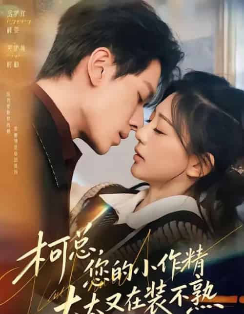 柯总，您的小作精太太又在装不熟（80集全）冯伊洋＆吴伊纯-紫橙网创项目网