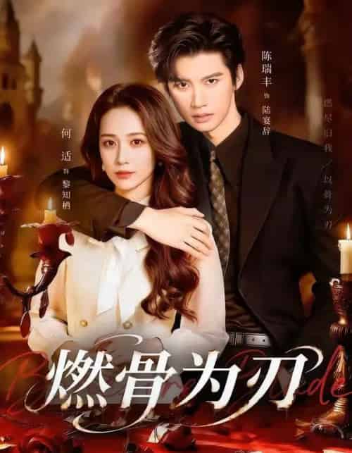 燃骨为刃（62集全）陈瑞丰＆何适-紫橙网创项目网