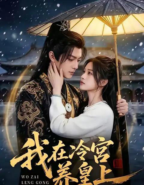 我在冷宫养皇上（45集全）AI-紫橙网创项目网