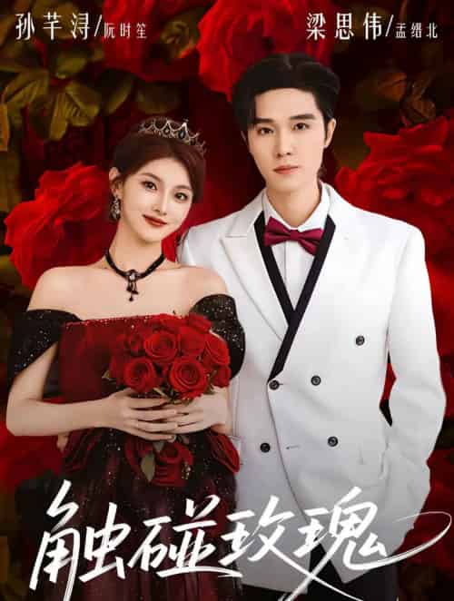 触碰玫瑰（80集全）梁思伟＆孙芊浔-紫橙网创项目网