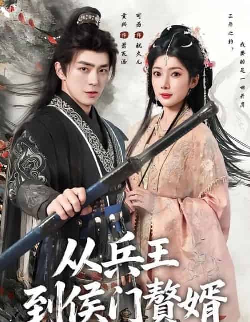从兵王到侯门赘婿 从兵王到侯门赘婿