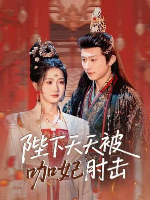 陛下天天被咖妃肘击（72集全）陈添祥＆汪海敏 - 紫橙阁短剧