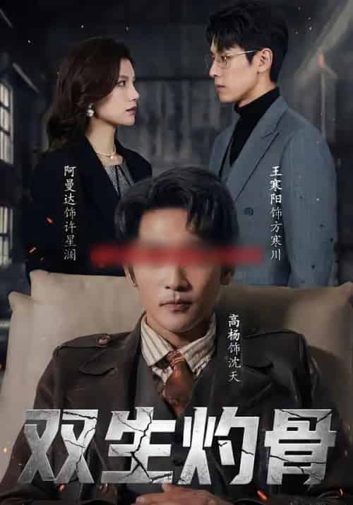 双生灼骨（60集全）王寒阳＆阿曼达＆高杨-紫橙网创项目网