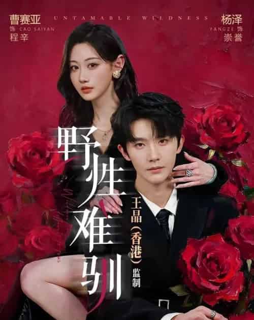 野性难驯&野骨难驯(62集全)杨泽&曹赛亚-紫橙网创项目网