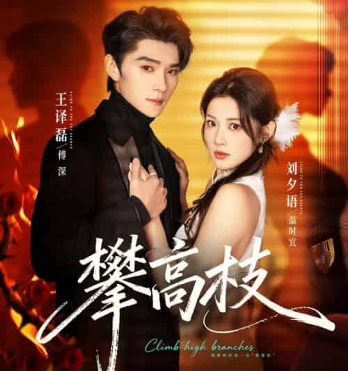 攀高枝（70集全）王译磊＆刘夕语-紫橙网创项目网