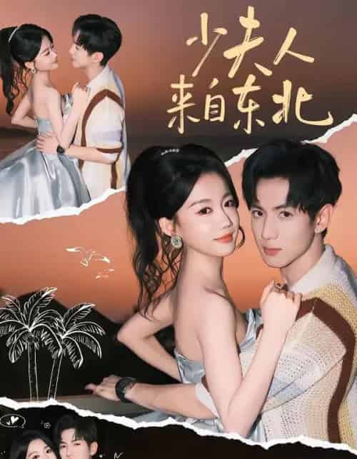 少夫人来自东北（80集全）梁雯晶＆业文-紫橙网创项目网