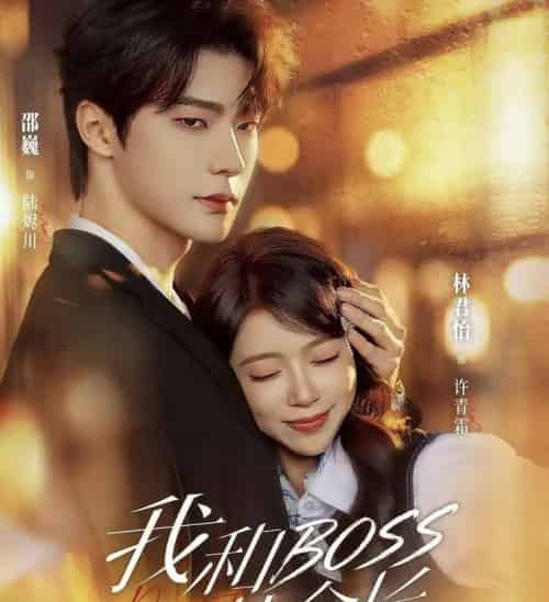 我和boss比命长（50集全）邵巍＆林君怡-紫橙网创项目网