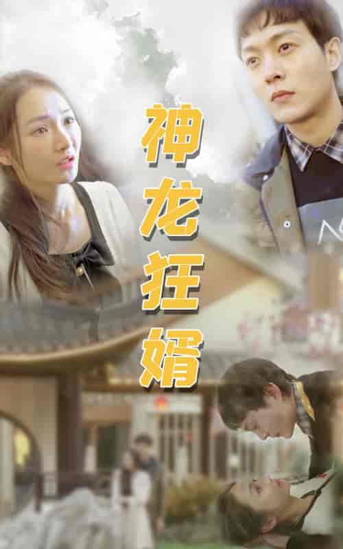 神龙狂婿-96集 - 紫橙阁短剧