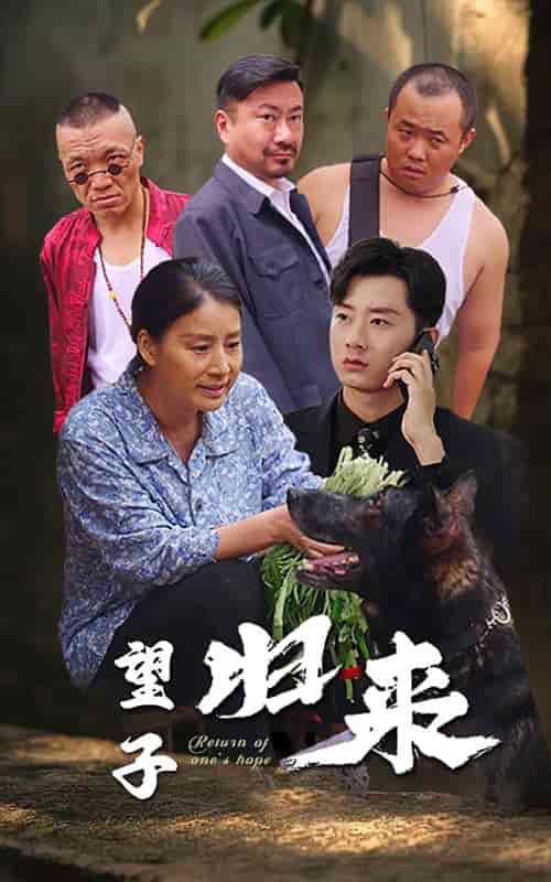 望子归来（50集全） - 紫橙阁短剧
