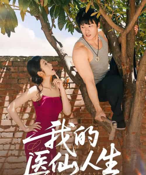 我的医仙人生(88集全)C边 王泊渊&齐惠昭-紫橙网创项目网