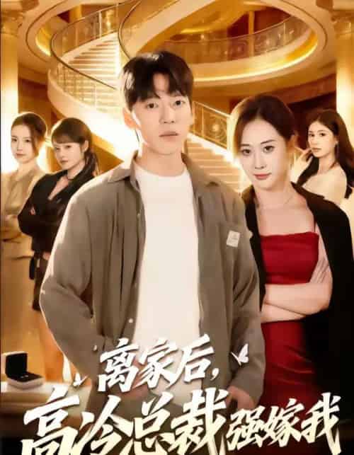 离家后，高冷总裁强嫁我（75集全）尼玛坚赞＆灵欢-紫橙网创项目网